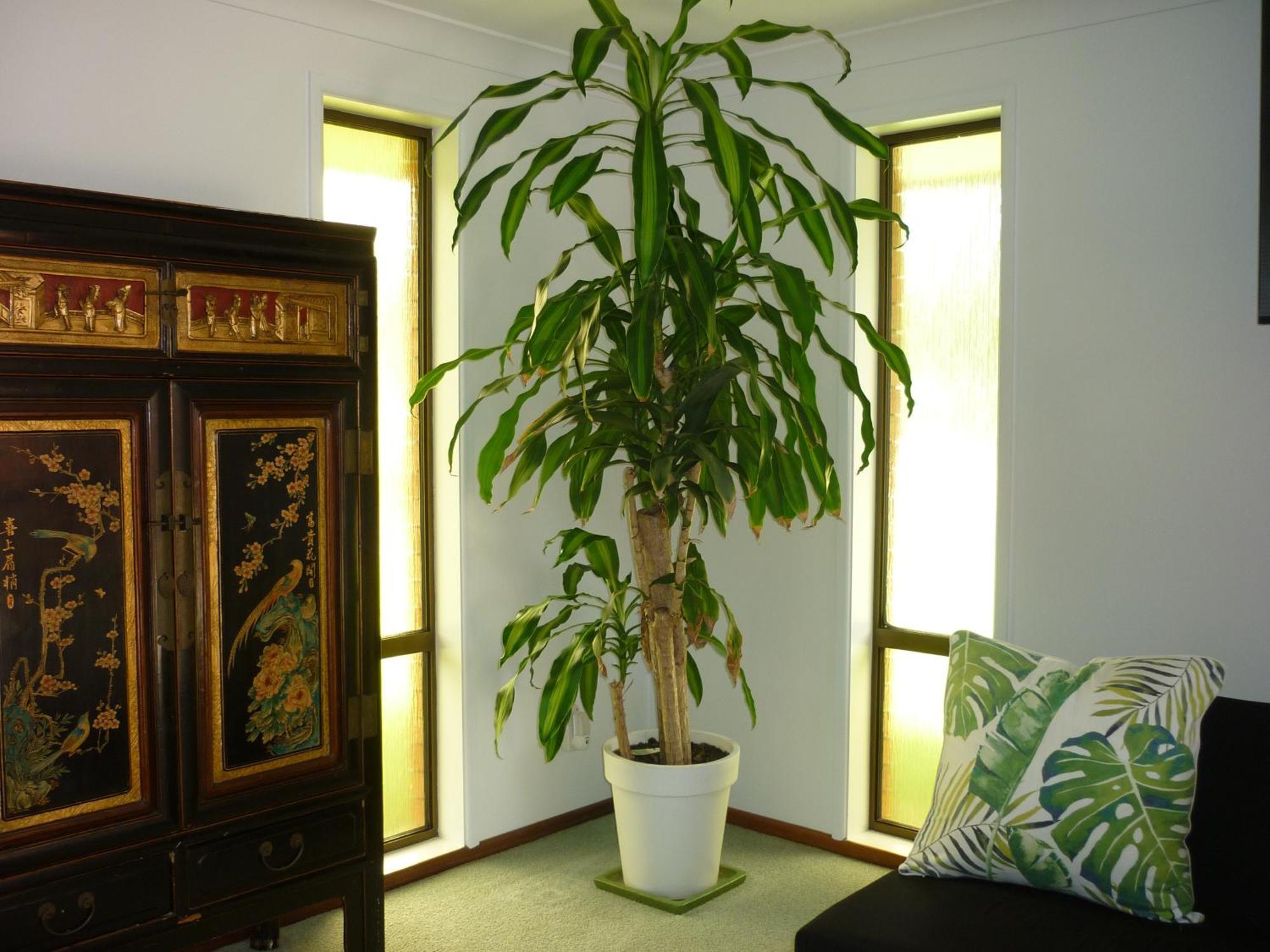 Apartamento Bill'S Coffs Harbour Exterior foto
